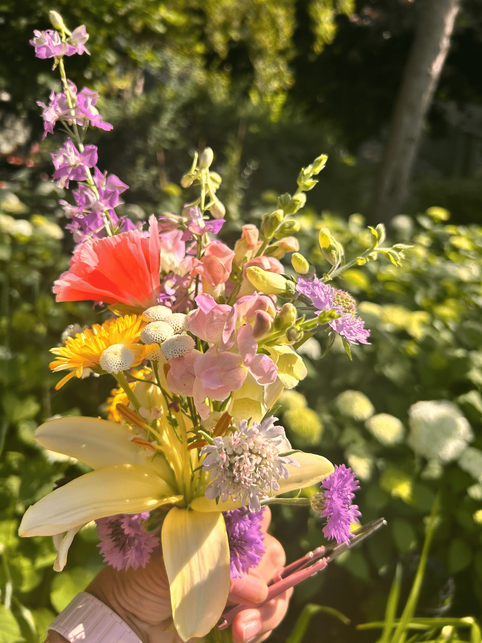 Hand-held bouquet in the garden with pale yellow lilies, coral and pink blooms, and purple accents in warm summer light.