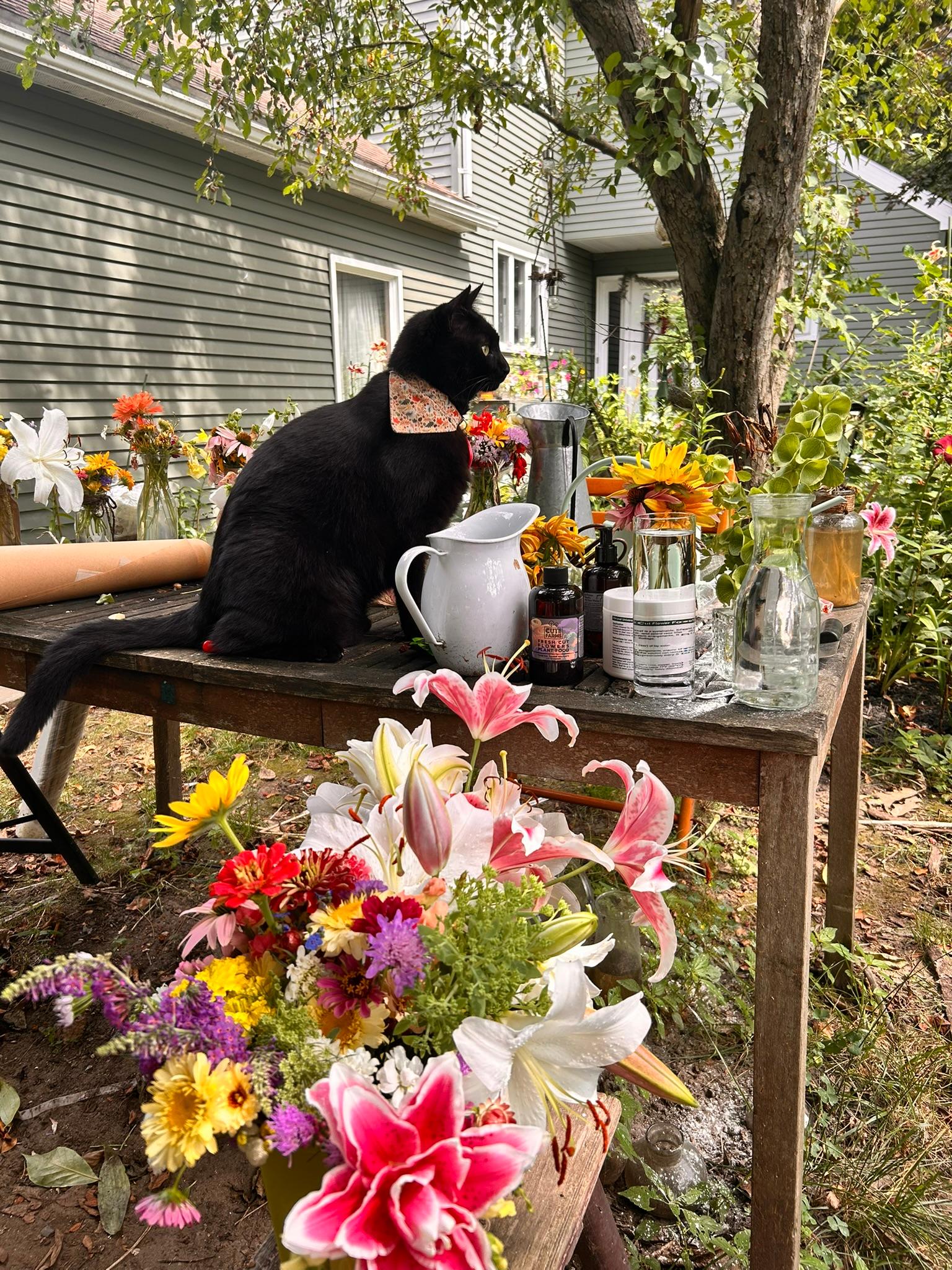 Eski the black cat sitting beside fresh bouquets and flower supplies on the garden table.