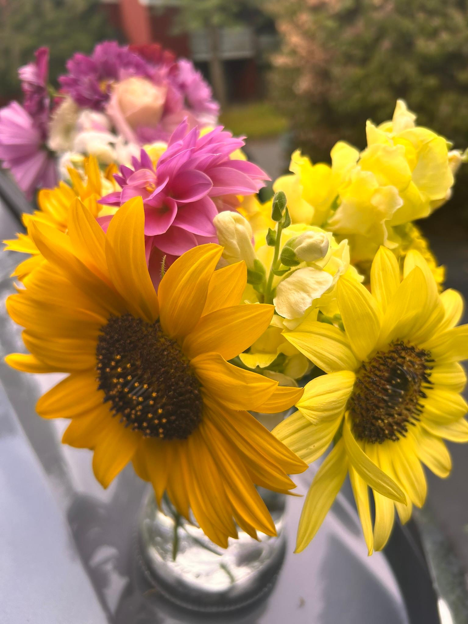 Small vase arrangement with yellow sunflowers, pale snapdragons, and pink blooms.