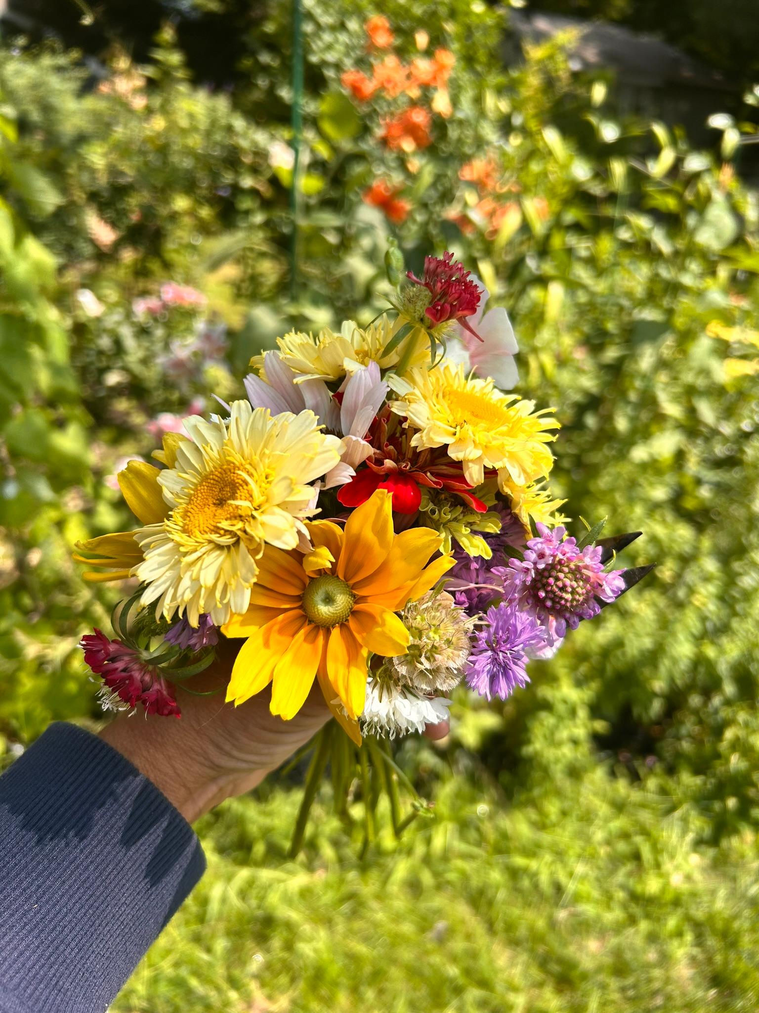 Small bouquet with yellow daisy-like flowers and purple accents held above the garden.